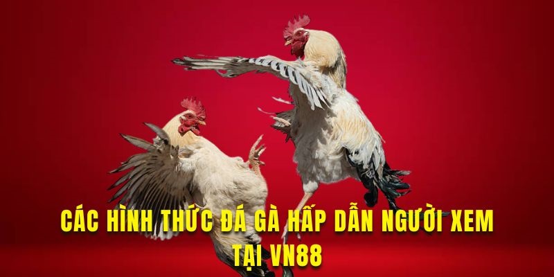 Những hình thức đá gà VN88 phổ biến