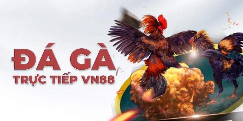 Đá gà VN88 có nhiều ưu điểm 